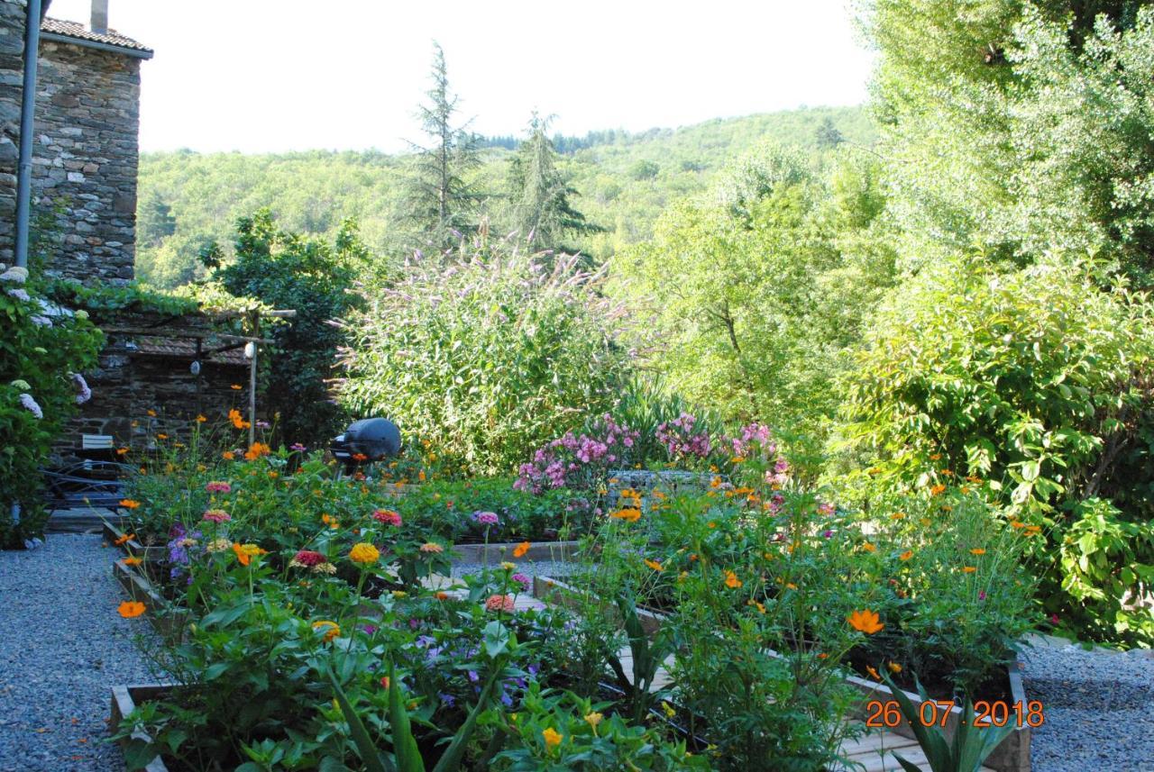 Alberguiere - Piscine chauffée - plancha - barbecue Sainte-Croix-Vallee-Francaise Esterno foto