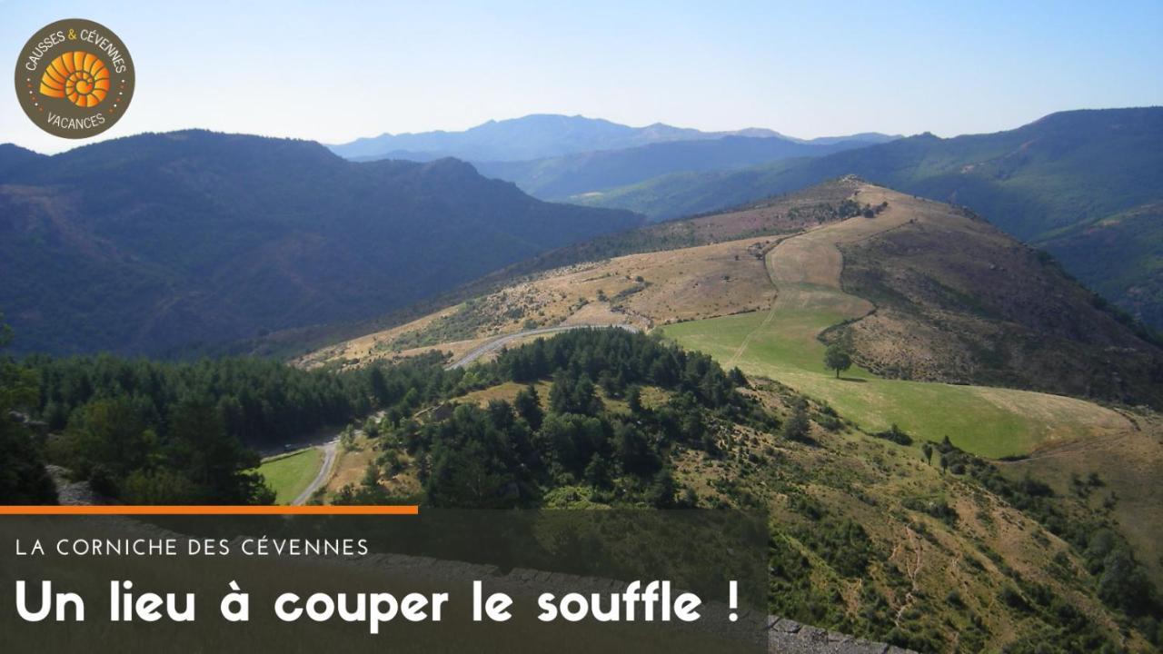 Alberguiere - Piscine chauffée - plancha - barbecue Sainte-Croix-Vallee-Francaise Esterno foto